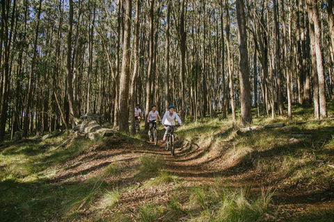 Spicers Peak Lodge - Renee 3