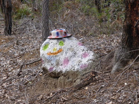 Splendid Wren Cottage - Swimm 3