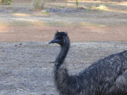 Splendid Wren Cottage - Swimm 2