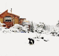 STUNNING HOME WITH AMAZING VIEWS - just 20 mins to the city and only 10 to MONA - Internet Find