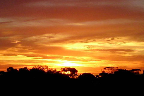 Sunsets, Sea, Wine - Renee 3