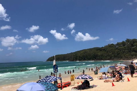 Sunshine Coast Cottage - Renee 3