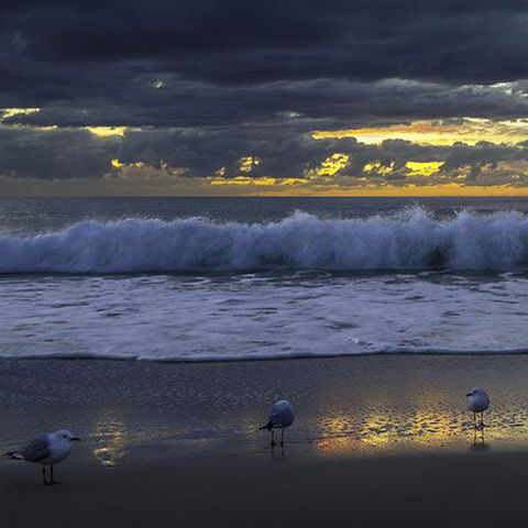 Surfers Horizons - Petrol Stations 3