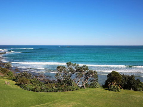 Surfrider - Internet Find 0