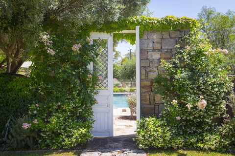 Talits Vineyard Estate - Renee 2