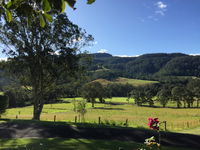Business in Berry NSW Renee Renee
