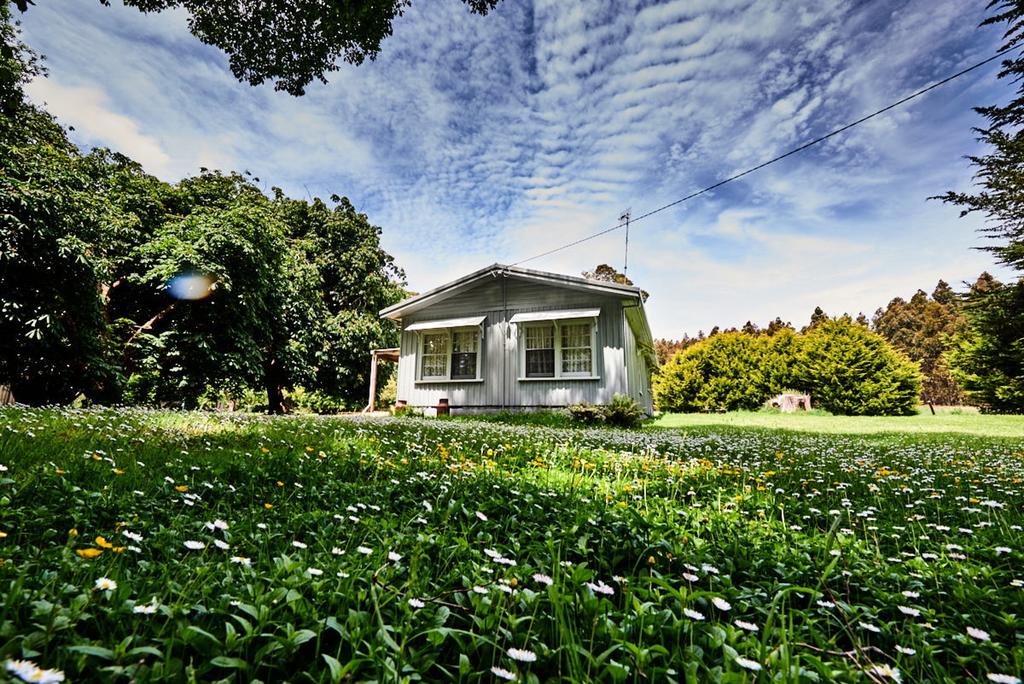 Three Hummock Island TAS Internet Find