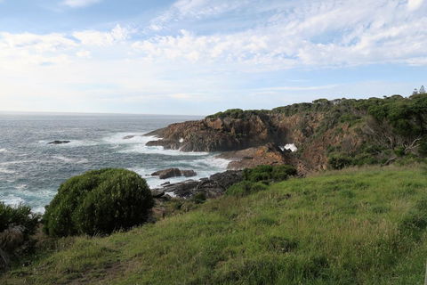 Tathra Hotel & Motel - Internet Find 1