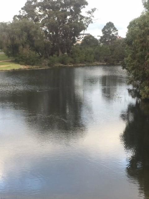 Telperon (2 Rooms, 3-4 Guests) - Renee 3