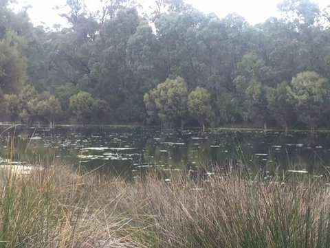 Telperon (2 Rooms, 3-4 Guests) - Renee 1