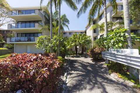 Tenerife 2 , Forster - Renee 1