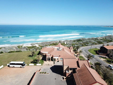 The African Reef - Renee 1