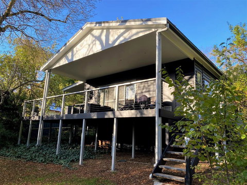 The Apple Tree - Swimm 1