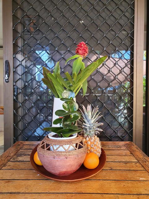 The Balinese - Renee 2