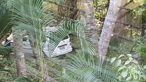 The Beach Place - Renee 1