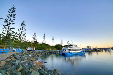 The Beach Retreat Eden - Swimm 2