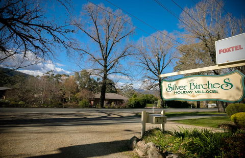 The Birch House - Silver Birches Luxury Accommodation Bright - Renee 3
