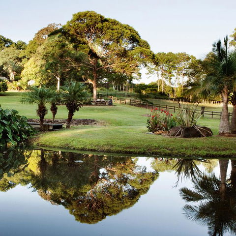 The BlueGreen SANCTUARY - Renee 3