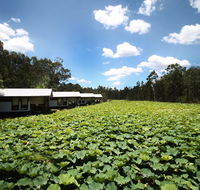 The Boathouses at Leaves  Fishes - Renee