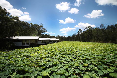 The Boathouses At Leaves & Fishes - Qld Realsetate 0