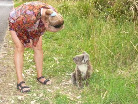 The Boomerangs At Johanna - Renee 3