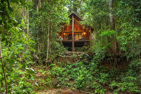 The Canopy Rainforest Treehouses & Wildlife Sanctuary - Qld Realsetate 0