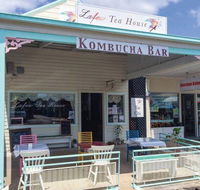 Lafew Teahouse  Kombucha Bar - Renee