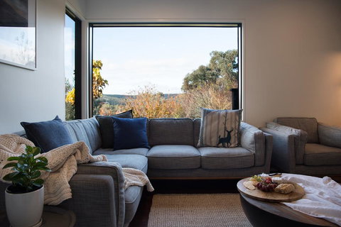 The Clubhouse - Renee 1