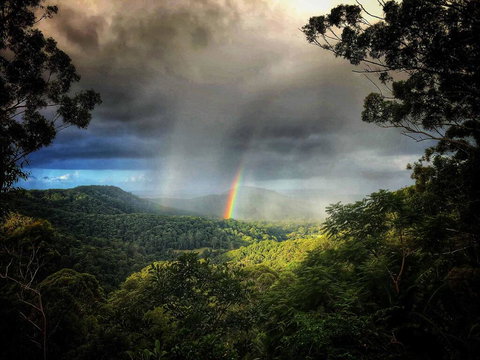 The Den Of The Treehouse, KINABALU Farm - Qld Realsetate 0