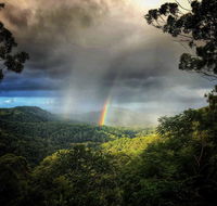 The Den of the Treehouse KINABALU Farm - Internet Find