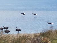 Business in Australind WA Internet Find Internet Find