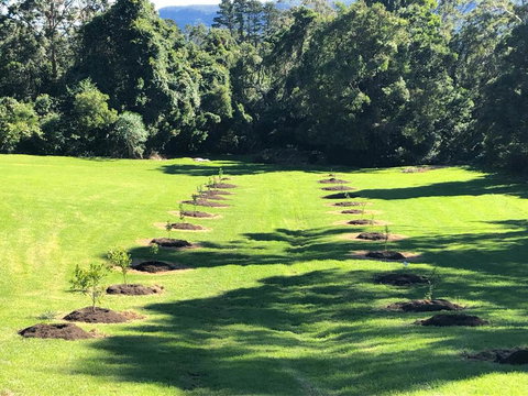 The Drawing Rooms Of Berry - Qld Realsetate 3
