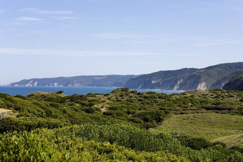 The Farm House - Renee 3