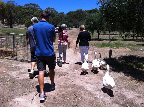 The Farm Willunga - Renee 1