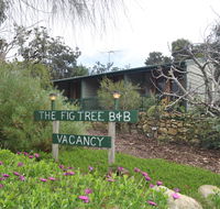 The Fig Tree BB - Renee