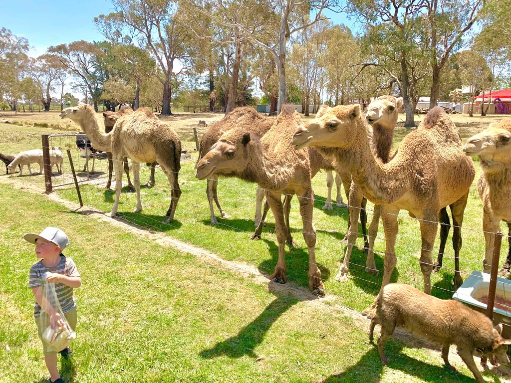 Tallwood NSW Internet Find