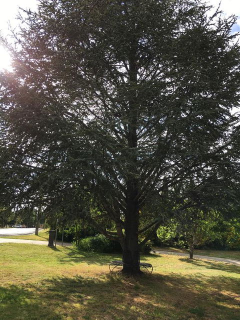 The Glasshouse Boutique Accommodation - Renee 3