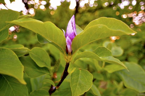 The Glasshouse Boutique Accommodation - Renee 2