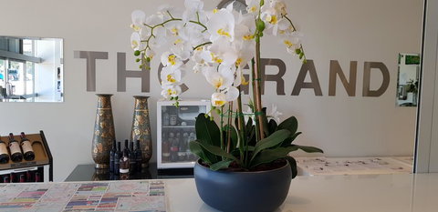 The Grand Motel - Renee 1