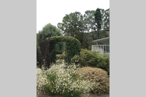 The Greenhouse - Internet Find 1