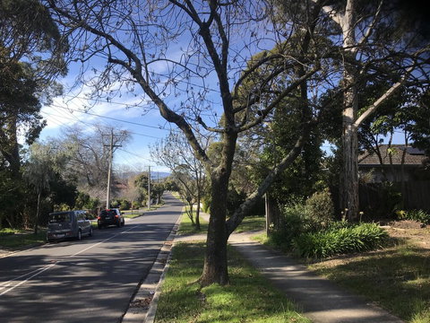 The Greenhouse - Renee 1