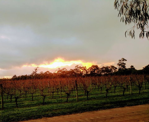 The Grove Distillery & Brewery - Swimm 2