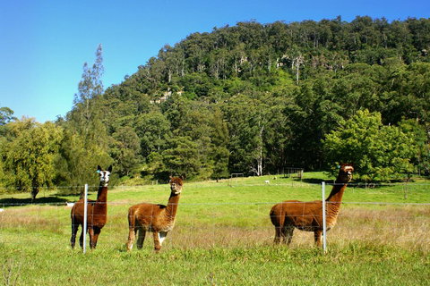 The Heavens Mountain Escape - Qld Realsetate 2