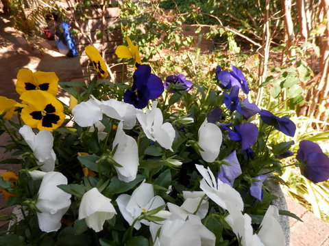 The Hideaway Luxury B&B Retreat - Qld Realsetate 1