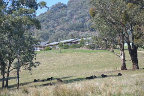The Homestead At Holmeslgen At Eildon - Swimm 1