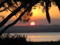 Business in Long Jetty NSW Renee Renee