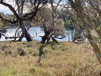Business in Quindalup WA Renee Renee
