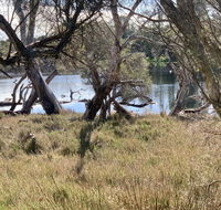 The Lake House - Renee