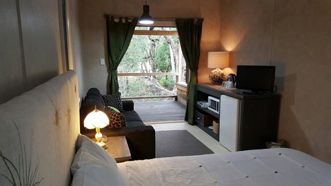 The Laurels Of Chinchilla - Swimm 1