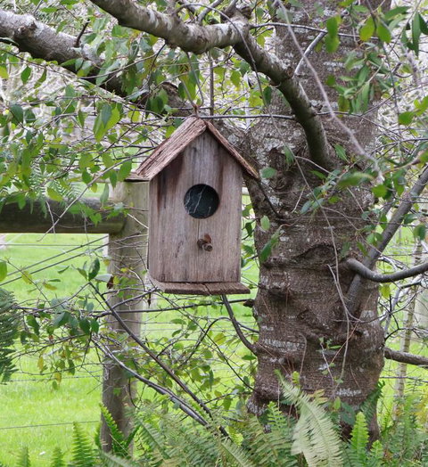 The Little House On The Hill - Renee 3